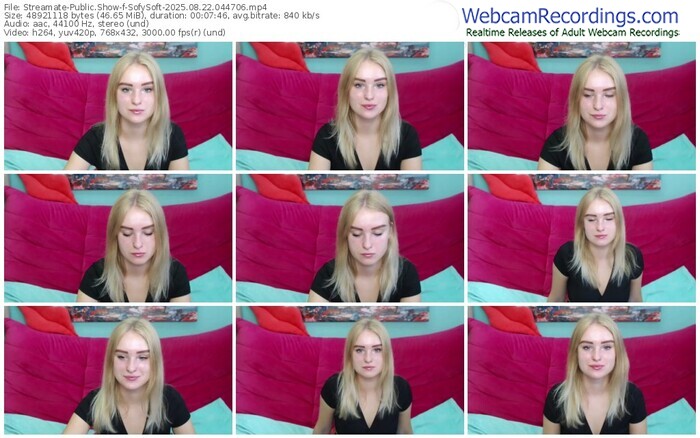 streamate-sofysoft-08-22-2025-04-47-06