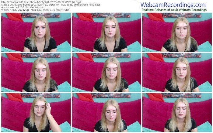 streamate-sofysoft-08-22-2025-05-51-10