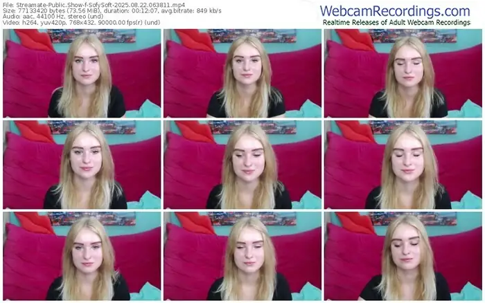 streamate-sofysoft-08-22-2025-06-38-11