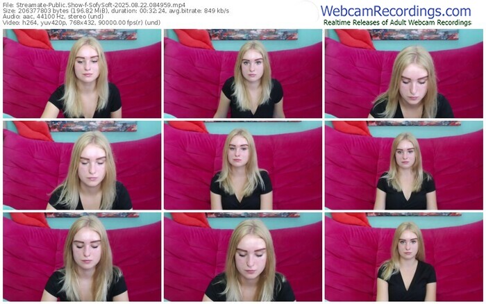 streamate-sofysoft-08-22-2025-08-49-59