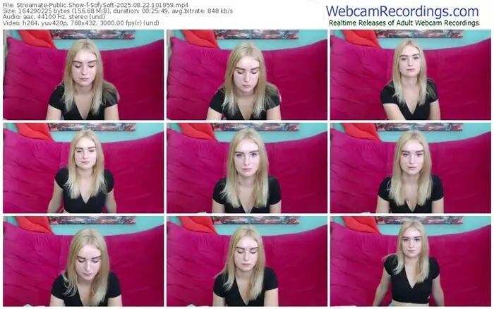 streamate-sofysoft-08-22-2025-10-19-59