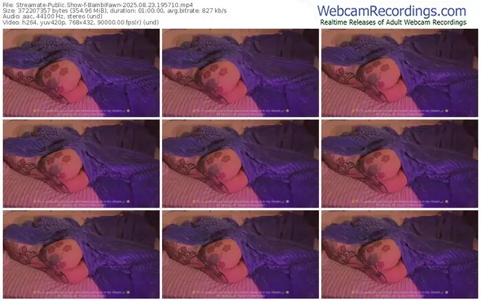 streamate-bambifawn-08-23-2025-19-57-10