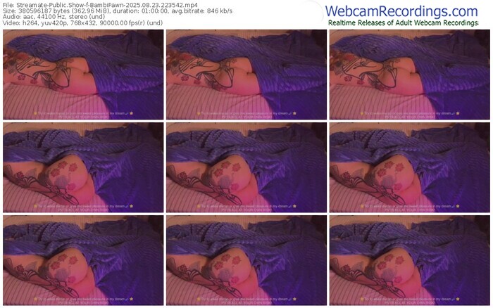 streamate-bambifawn-08-23-2025-22-35-42
