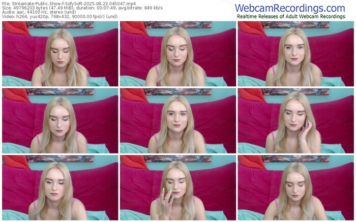 streamate-sofysoft-08-23-2025-04-50-47
