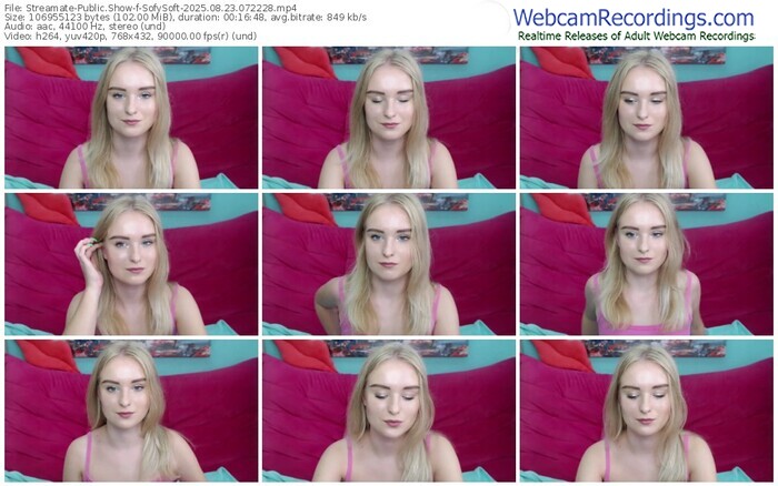 streamate-sofysoft-08-23-2025-07-22-28