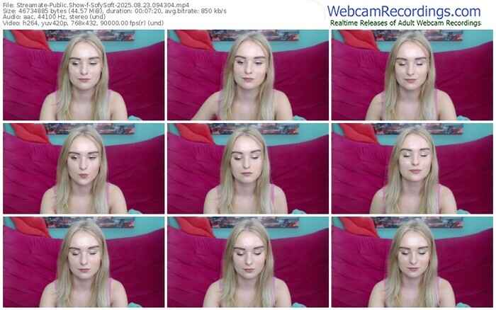 streamate-sofysoft-08-23-2025-09-43-04