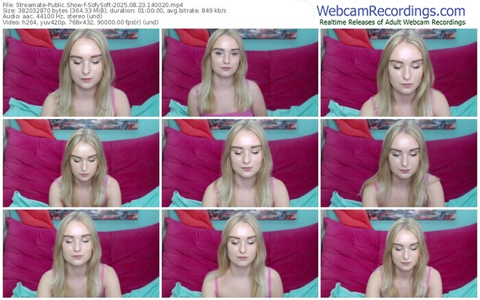 streamate-sofysoft-08-23-2025-14-00-20