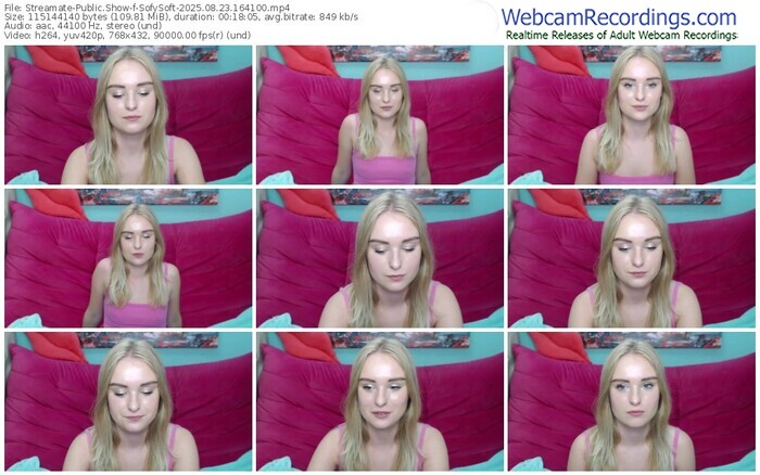 streamate-sofysoft-08-23-2025-16-41-00
