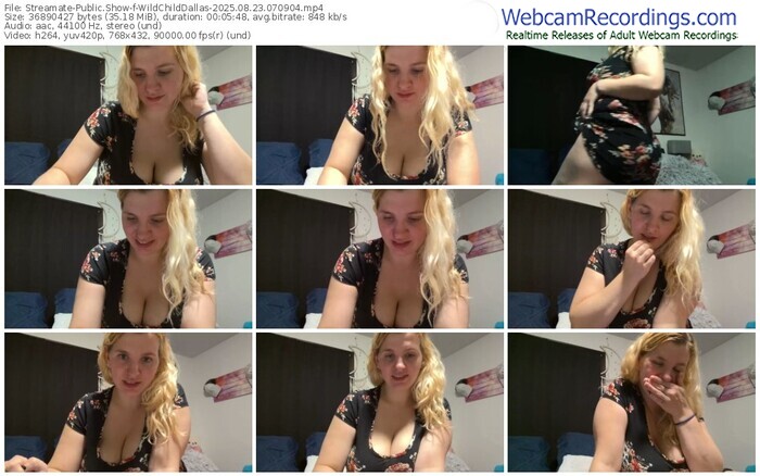 streamate-wildchilddallas-08-23-2025-07-09-04
