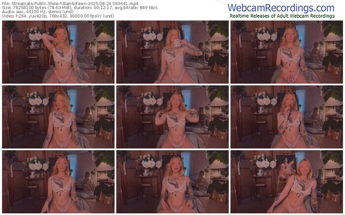 streamate-bambifawn-08-24-2025-06-36-41