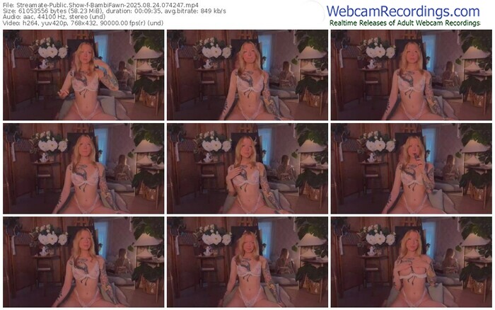 streamate-bambifawn-08-24-2025-07-42-47