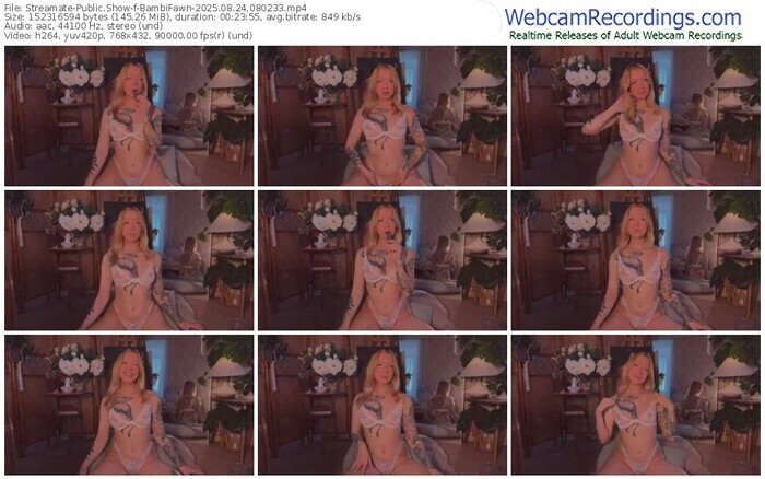 streamate-bambifawn-08-24-2025-08-02-33