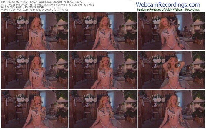 streamate-bambifawn-08-24-2025-09-52-10