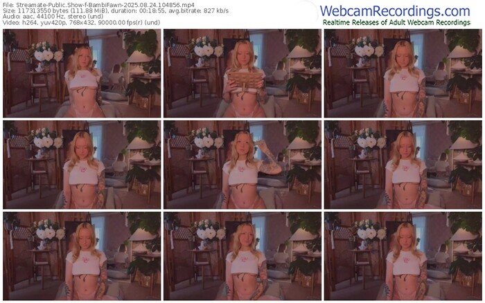 streamate-bambifawn-08-24-2025-10-48-56