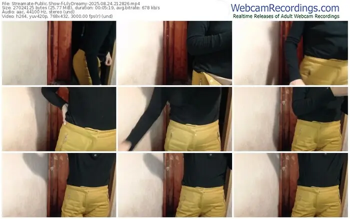 streamate-lilydreamy-08-24-2025-21-28-26