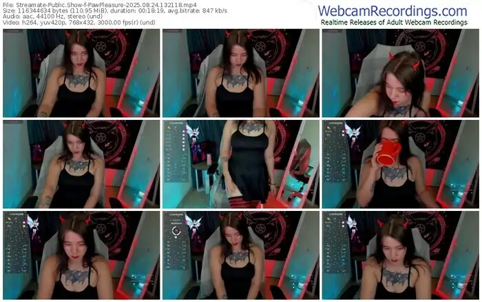 streamate-pawpleasure-08-24-2025-13-21-18