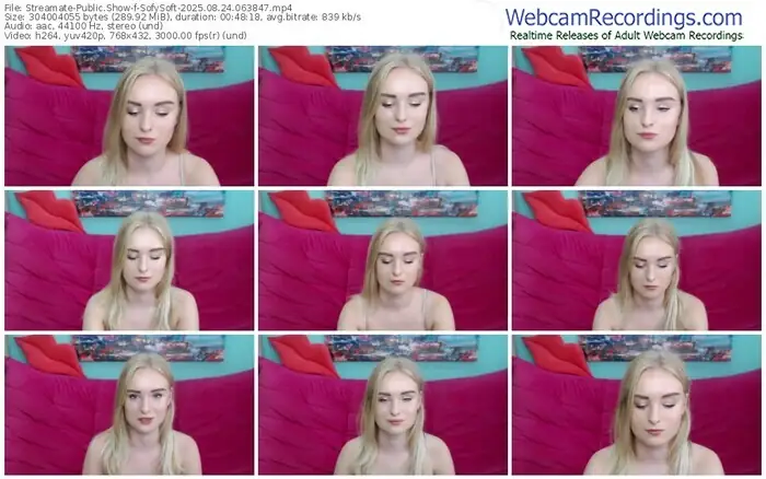 streamate-sofysoft-08-24-2025-06-38-47