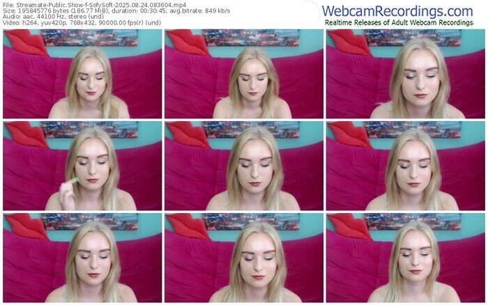 streamate-sofysoft-08-24-2025-08-36-04