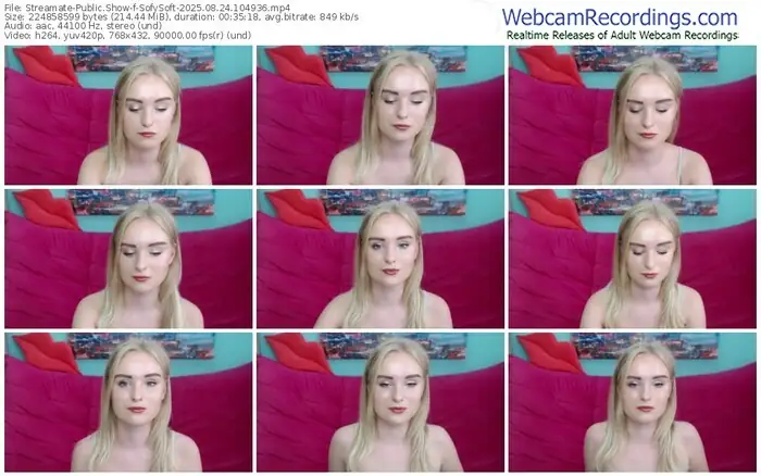 streamate-sofysoft-08-24-2025-10-49-36