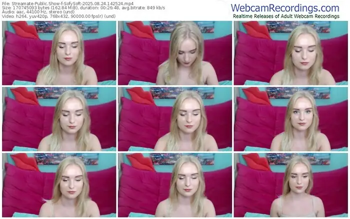 streamate-sofysoft-08-24-2025-14-25-24