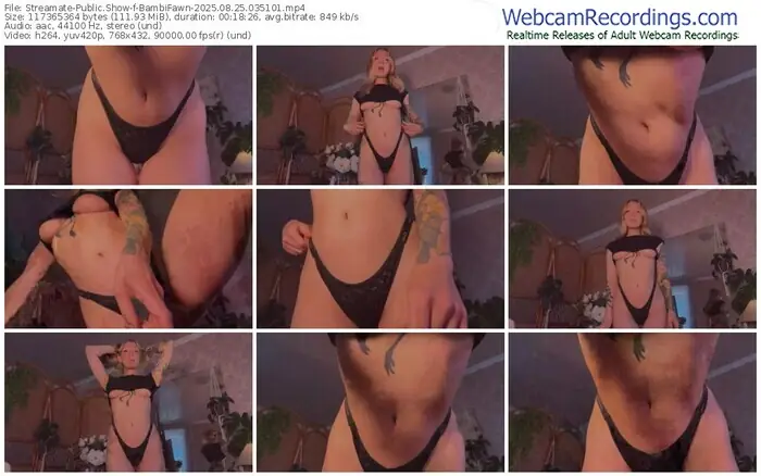 streamate-bambifawn-08-25-2025-03-51-01