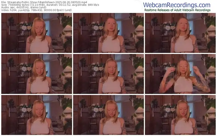 streamate-bambifawn-08-26-2025-08-35-03