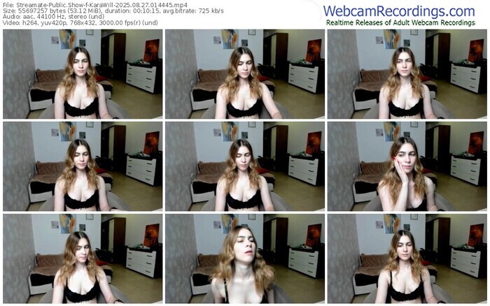 streamate-karawill-08-27-2025-01-44-45