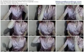 streamate-lilydreamy-08-27-2025-20-34-04