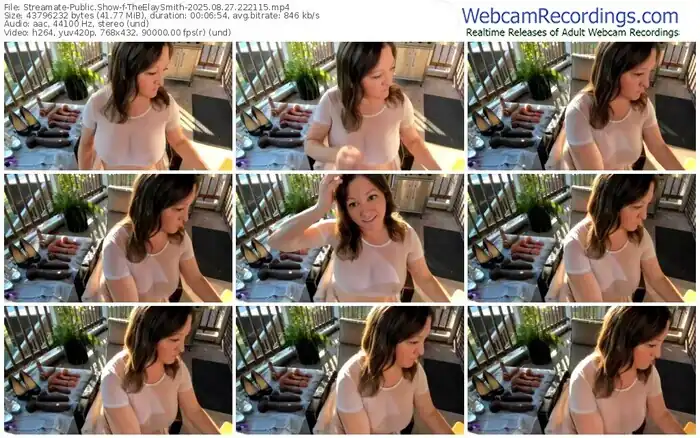 streamate-theelaysmith-08-27-2025-22-21-15