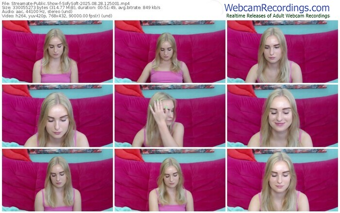 streamate-sofysoft-08-28-2025-12-50-01