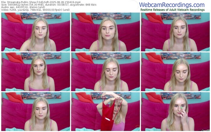 streamate-sofysoft-08-28-2025-15-04-19
