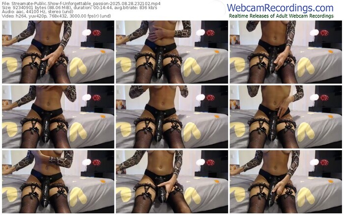 streamate-unforgettable_passion-08-28-2025-23-21-02