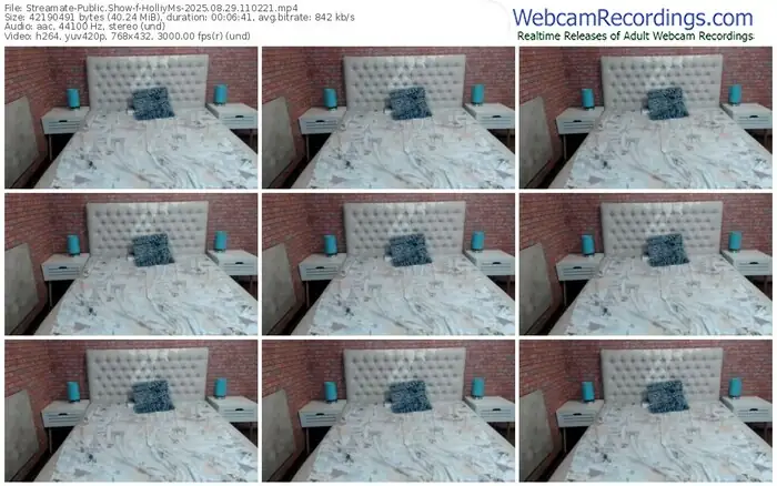 streamate-holliyms-08-29-2025-11-02-21