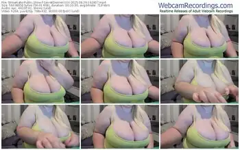 streamate-secretdesirexxxx-08-29-2025-19-28-07