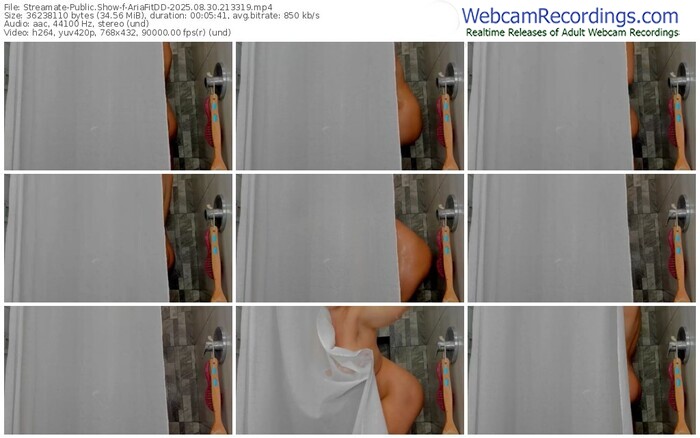 streamate-ariafitdd-08-30-2025-21-33-19