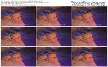 streamate-bambifawn-08-30-2025-20-26-02