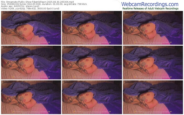 streamate-bambifawn-08-30-2025-20-53-04