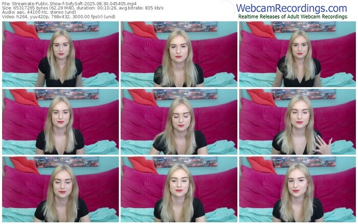 streamate-sofysoft-08-30-2025-04-54-05