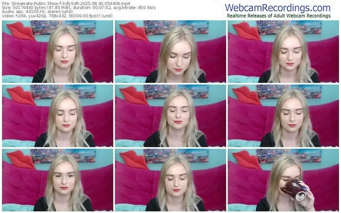 streamate-sofysoft-08-30-2025-05-44-09