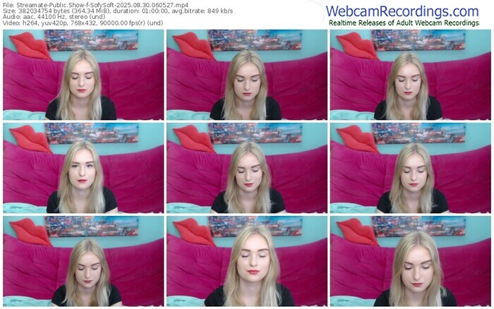 streamate-sofysoft-08-30-2025-06-05-27