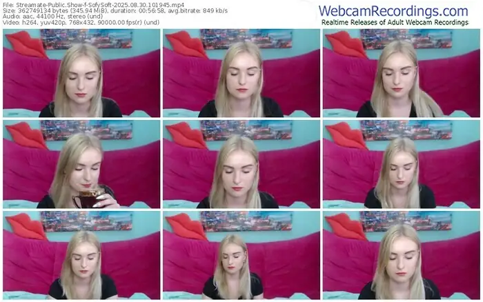 streamate-sofysoft-08-30-2025-10-19-45