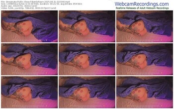 streamate-bambifawn-08-31-2025-01-03-44