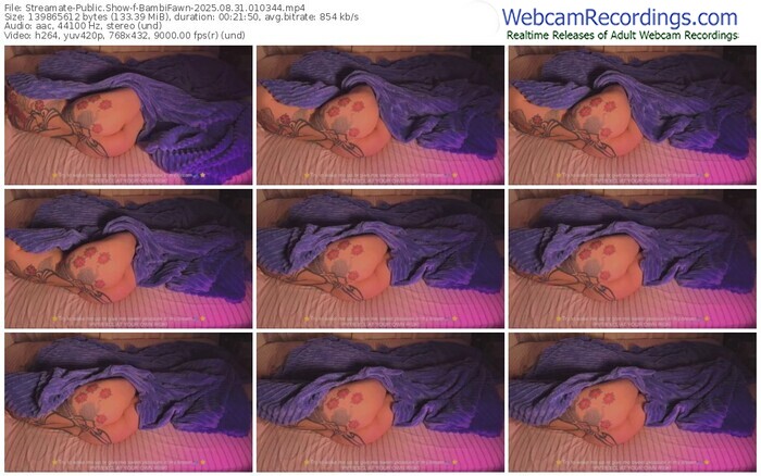 streamate-bambifawn-08-31-2025-01-03-44