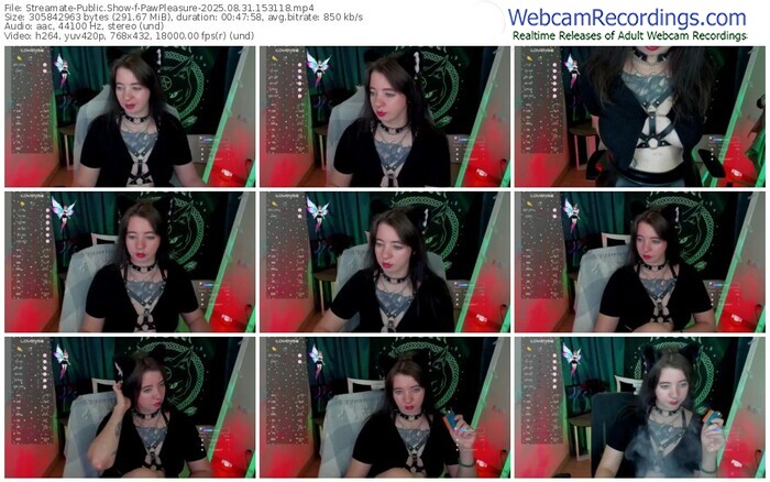 streamate-pawpleasure-08-31-2025-15-31-18