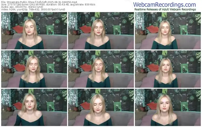 streamate-sofysoft-08-31-2025-04-46-50