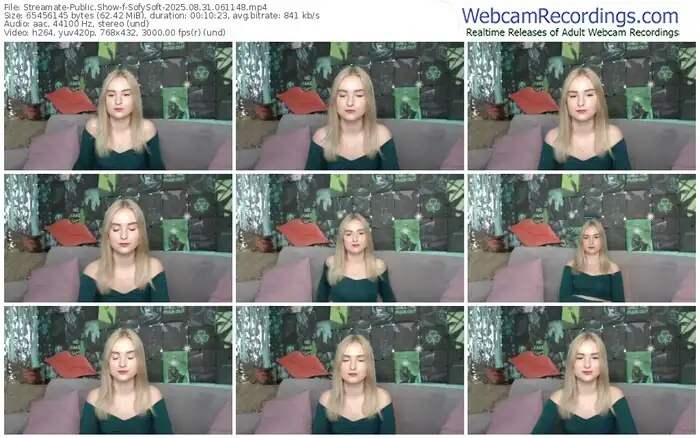 streamate-sofysoft-08-31-2025-06-11-48