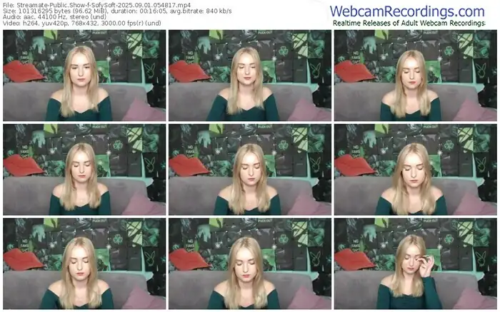 streamate-sofysoft-09-01-2025-05-48-17