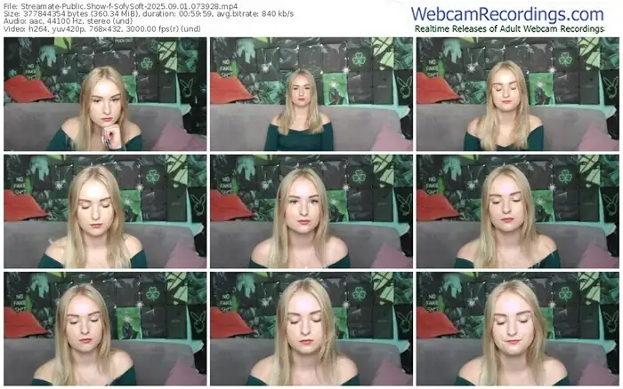 streamate-sofysoft-09-01-2025-07-39-28