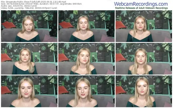 streamate-sofysoft-09-01-2025-13-11-48