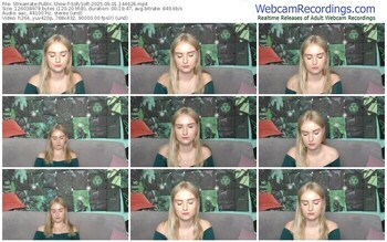streamate-sofysoft-09-01-2025-14-46-26